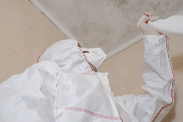 Best Mold Testing and Inspection Services in North Great River, NY
